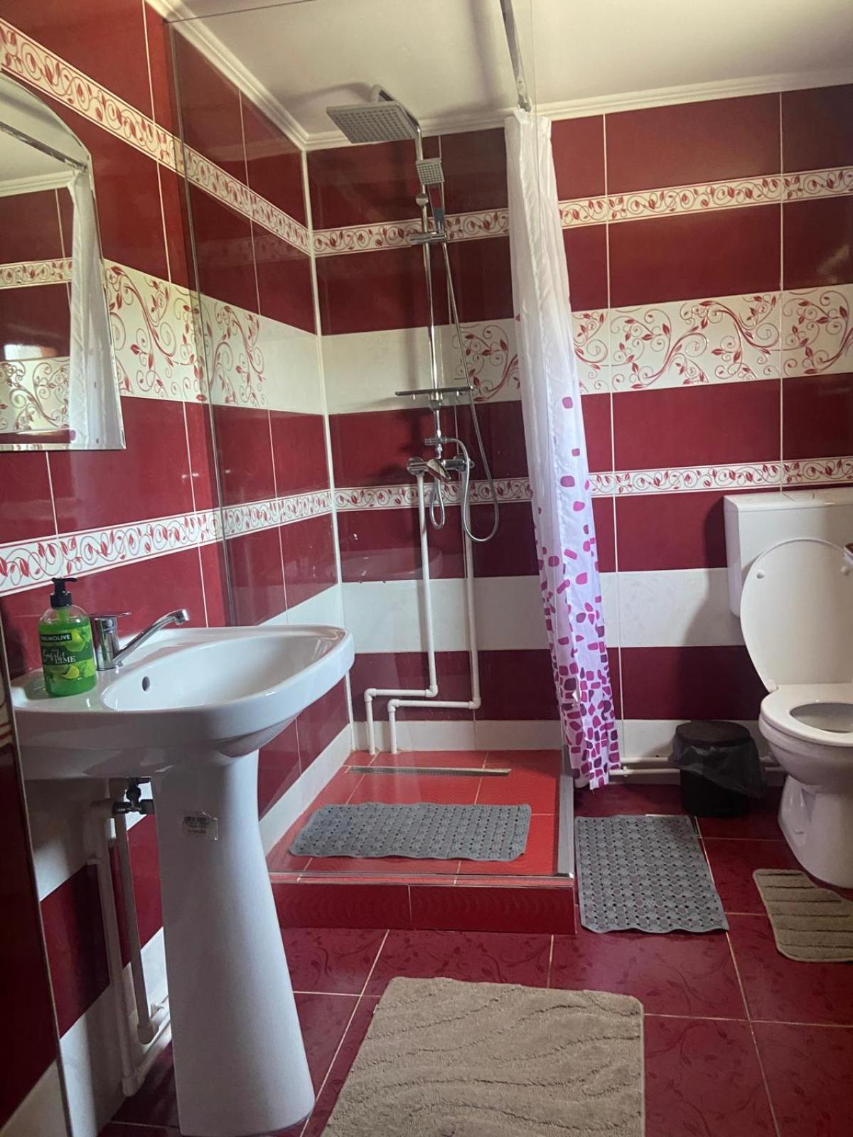 Pensiunea Casa Deny Novaci-Străini Dış mekan fotoğraf